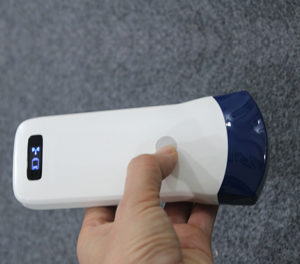 linear ultrasound probe